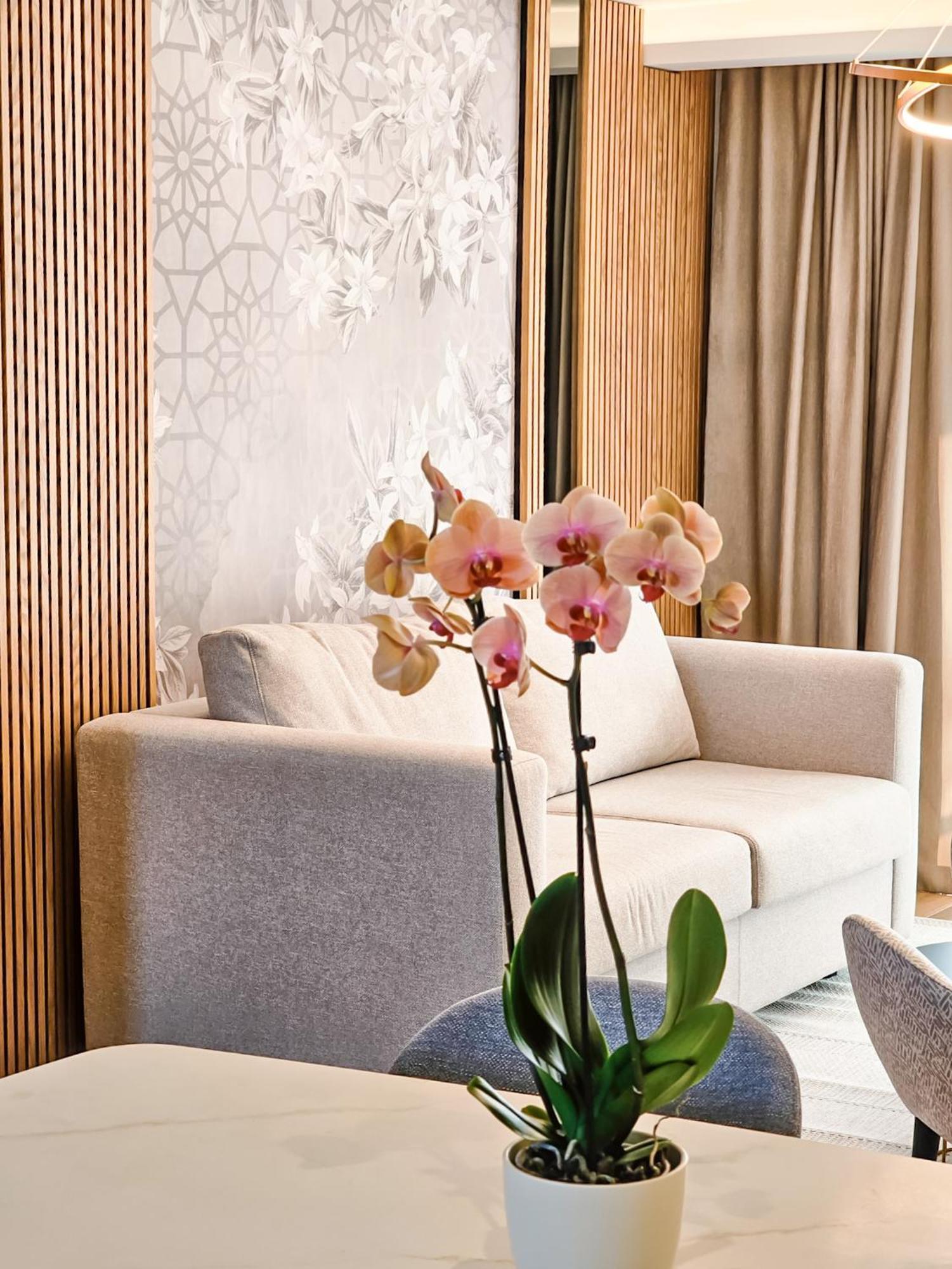 The New Hotel Mediteran - Villa Edition Ulcinj Chambre photo